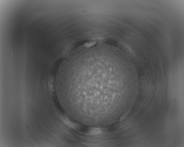 X0000072520083200607211434