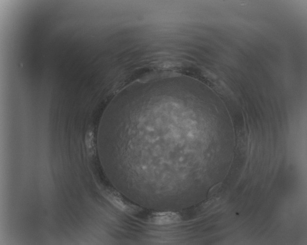 X0000072520087200607211434