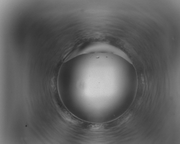 X0000072520088200607211434