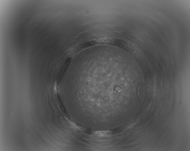 X0000072520089200607211434