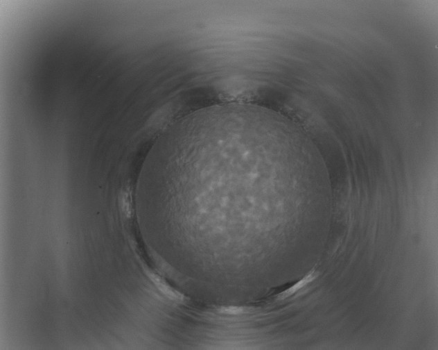 X0000072520090200607211434