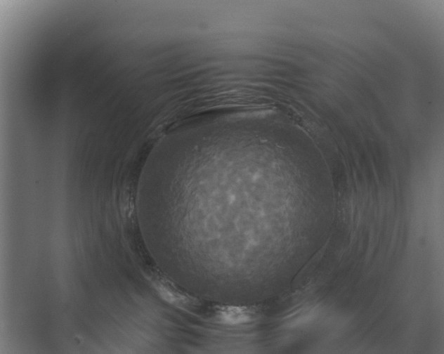 X0000072520091200607211434