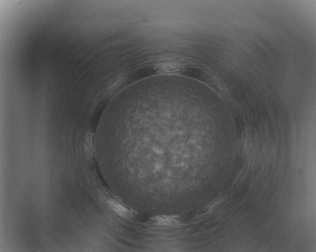 X0000072520093200607211434