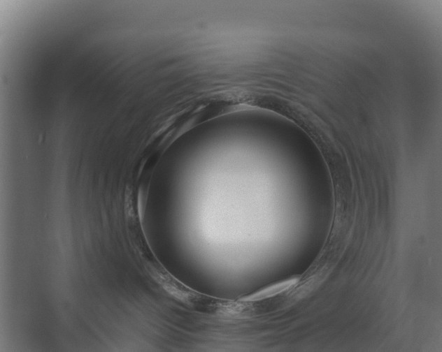 X0000072520096200607211435