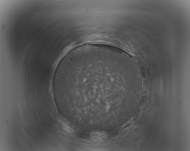 X0000072520099200607211434