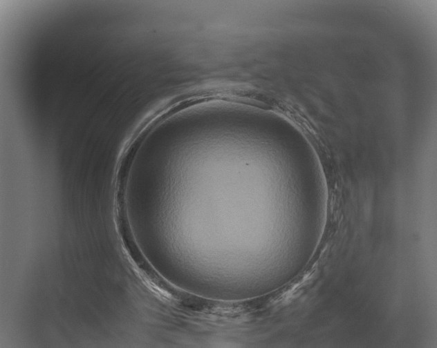 X0000072520101200607211434