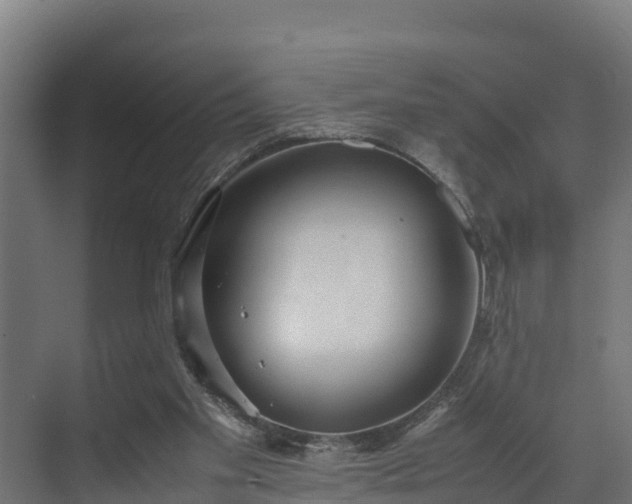 X0000072520109200607211433