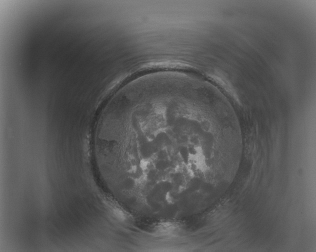 X0000072520111200607211433