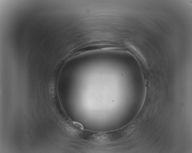 X0000072520113200607211433