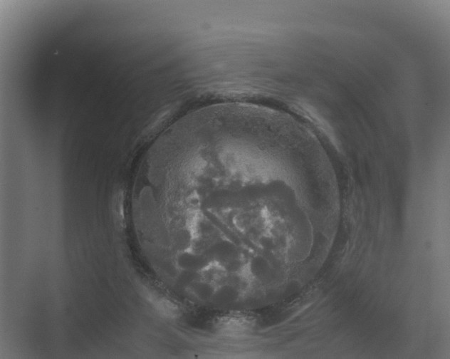 X0000072520115200607211433