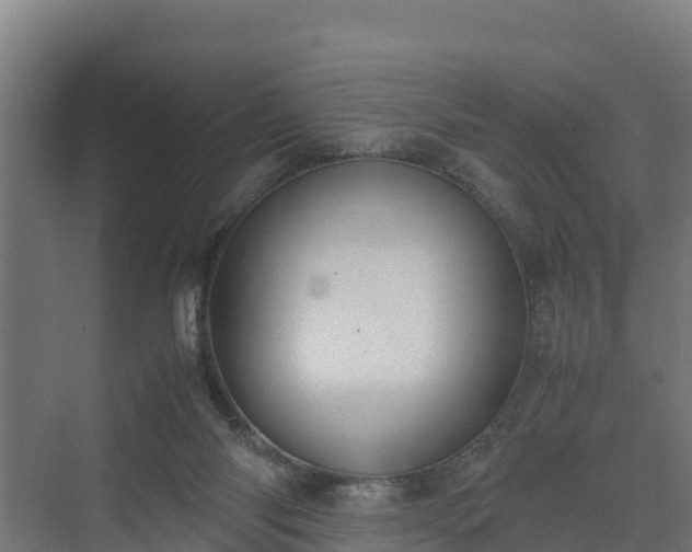 X0000072520118200607211433