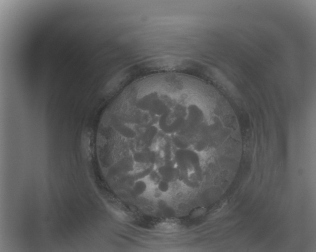 X0000072520119200607211433