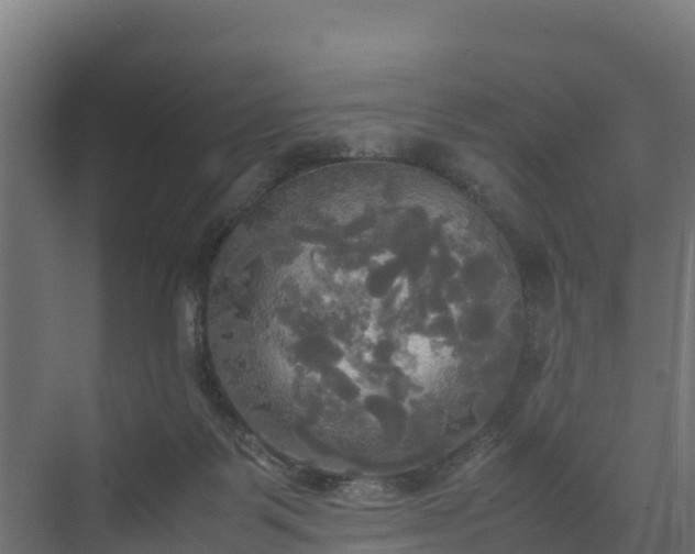 X0000072520123200607211433