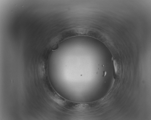 X0000072520128200607211433