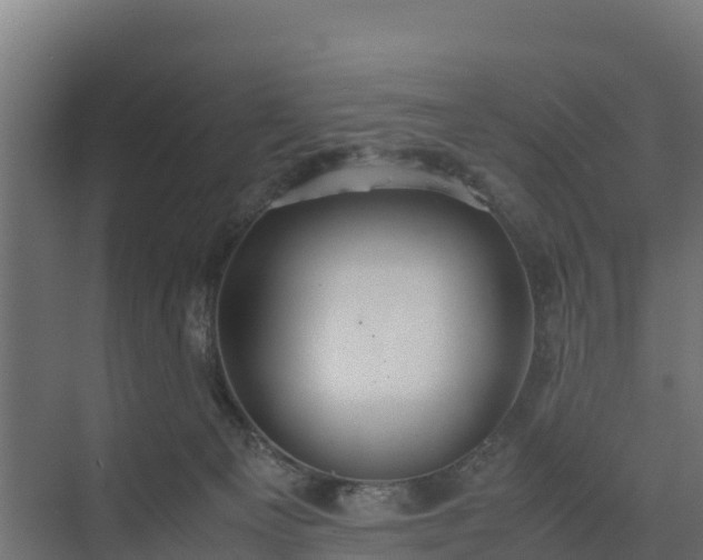 X0000072520129200607211433