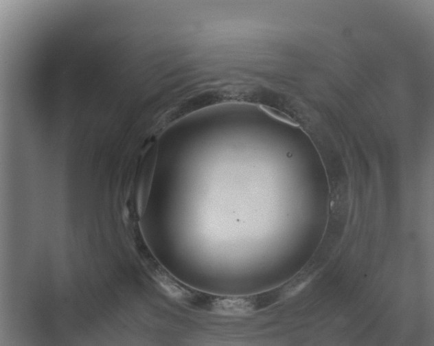 X0000072520137200607211433