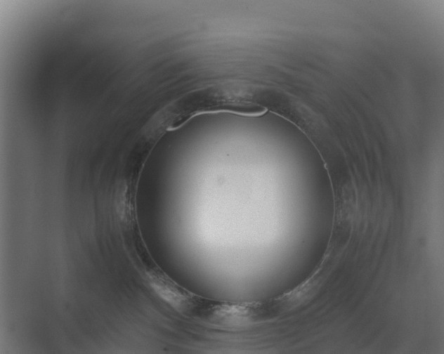 X0000072520140200607211433