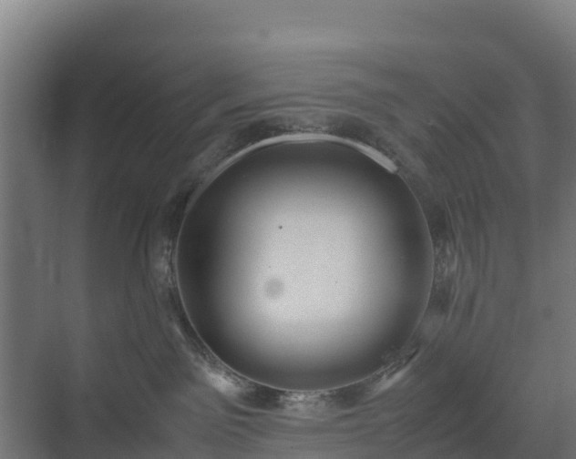 X0000072520141200607211433