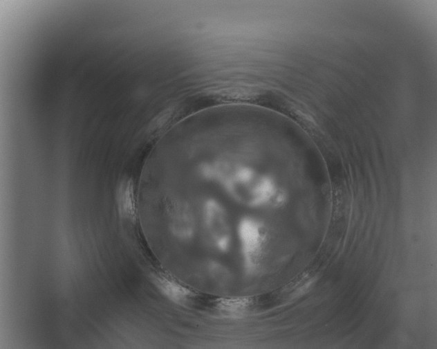 X0000072520143200607211433