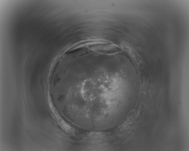 X0000072520145200607211432