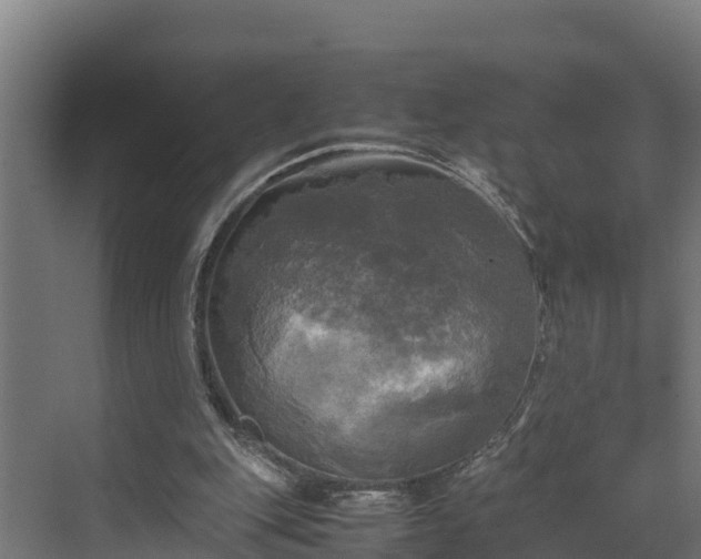 X0000072520151200607211432