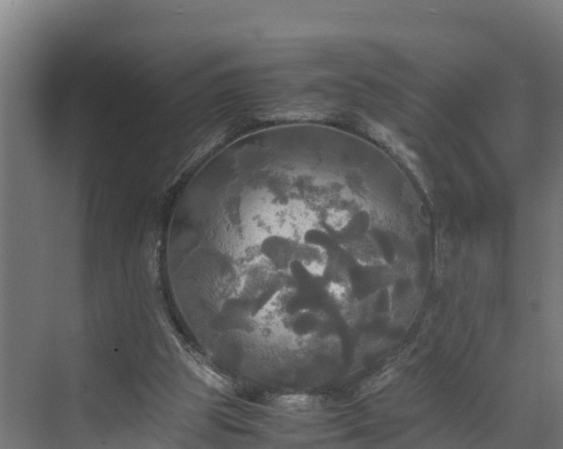 X0000072520153200607211432