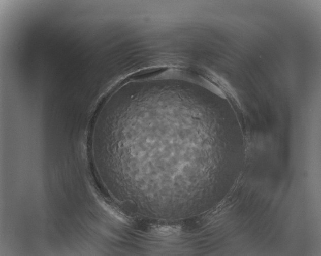 X0000072520155200607211432