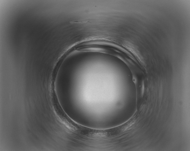 X0000072520156200607211432