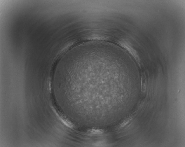 X0000072520157200607211432