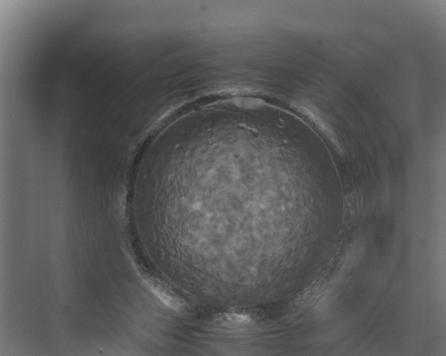 X0000072520159200607211432