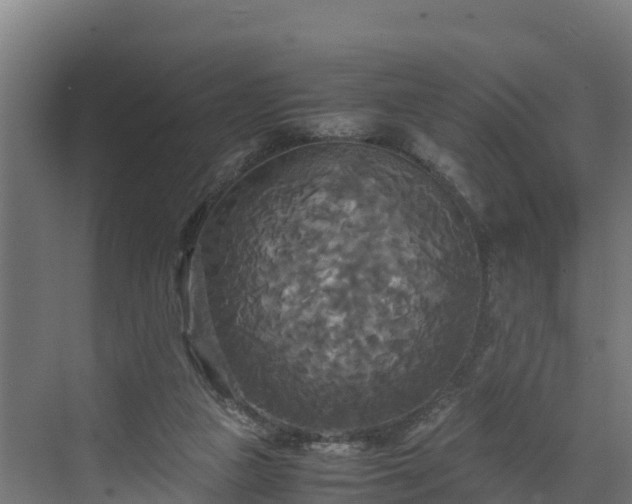 X0000072520161200607211432