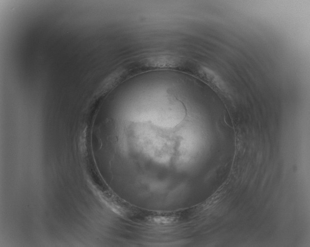 X0000072520163200607211432