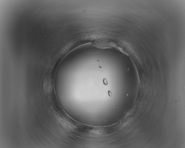 X0000072520164200607211432