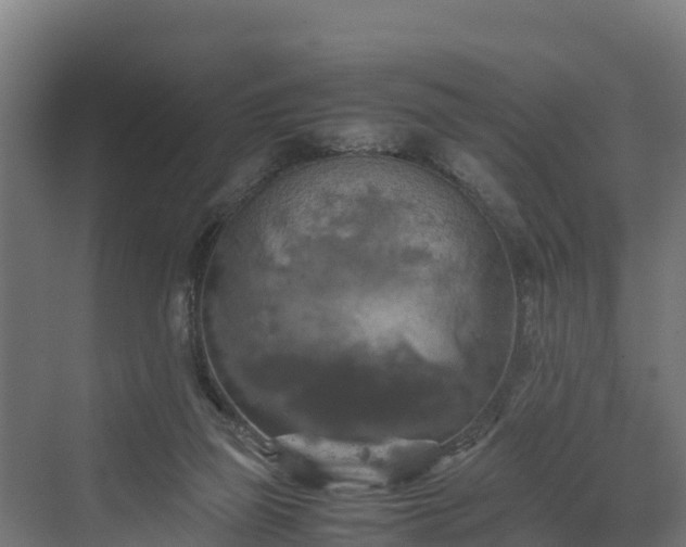 X0000072520165200607211432