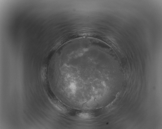 X0000072520171200607211433