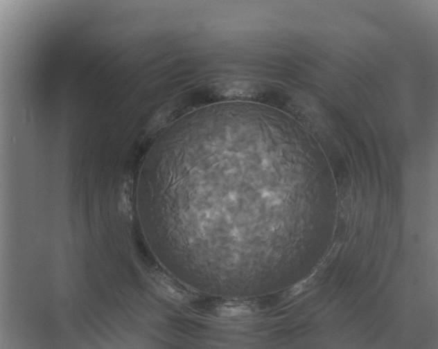 X0000072520175200607211433