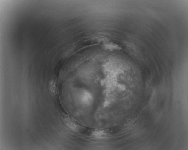 X0000072520177200607211433