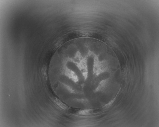 X0000072520178200607211433