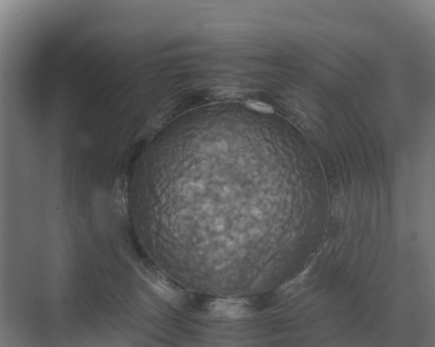 X0000072520179200607211433