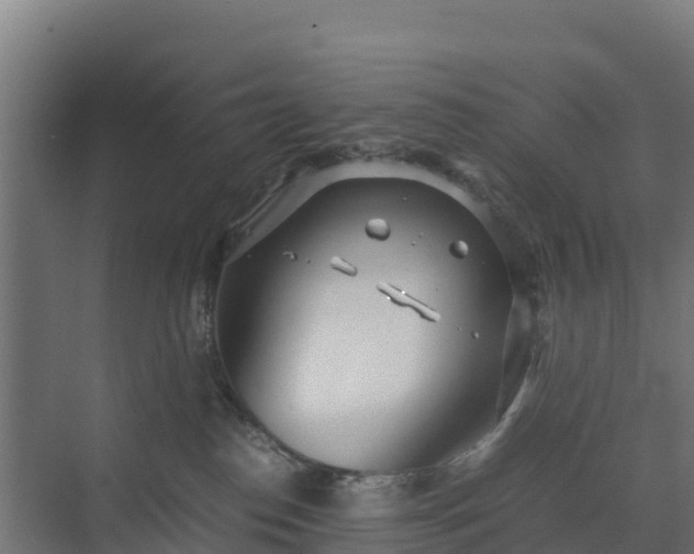 X0000072520186200607211433