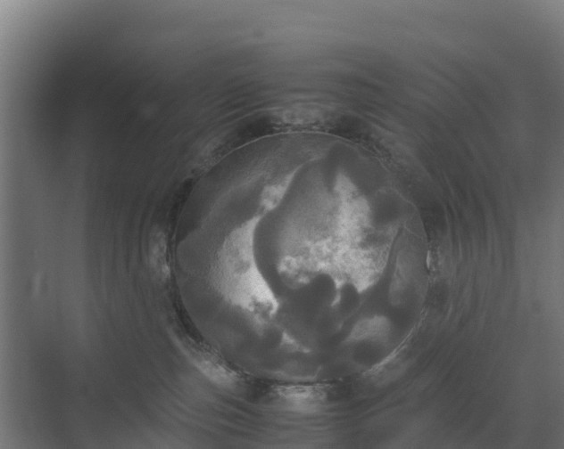 X0000072520187200607211433