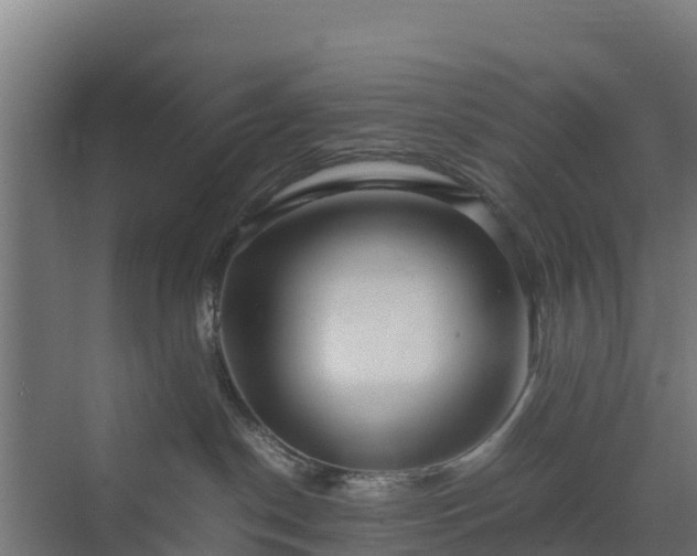 X0000072520190200607211433