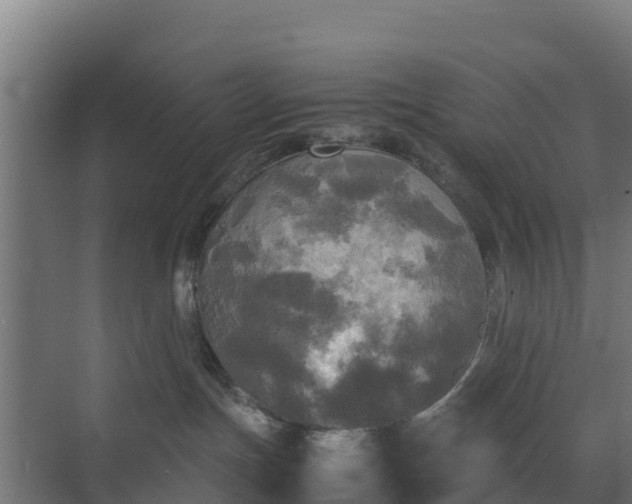 X0000072520191200607211433