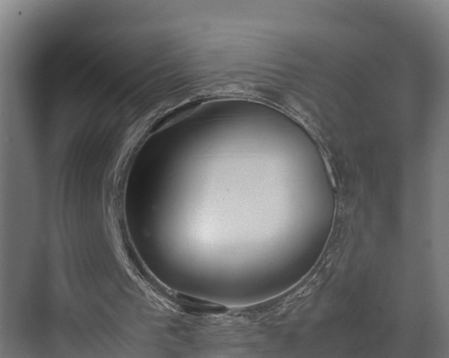 X0000072520193200607211432