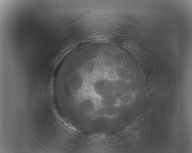 X0000072520194200607211432