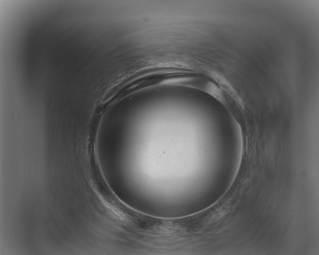 X0000072520201200607211432