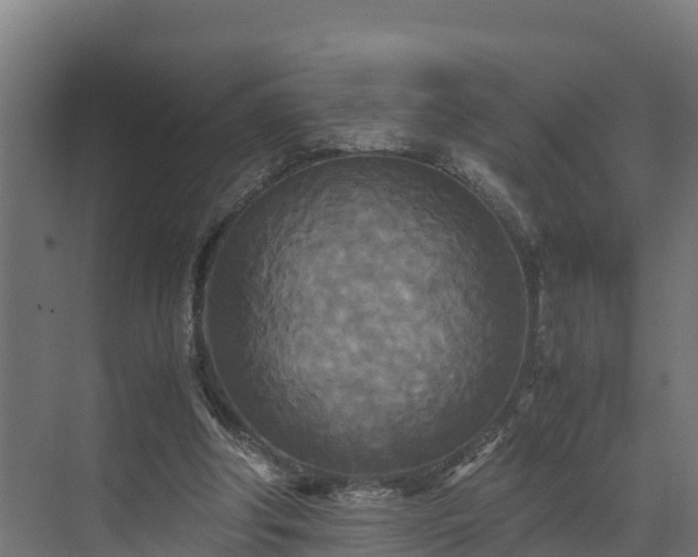 X0000072520202200607211432