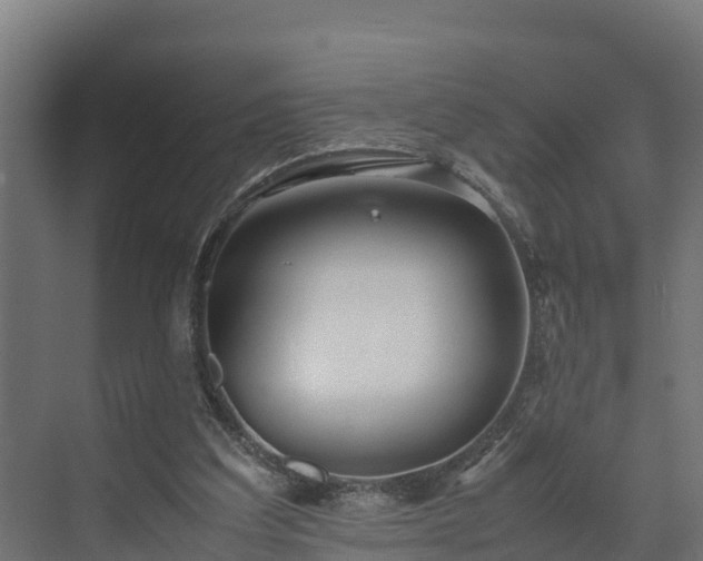 X0000072520203200607211432