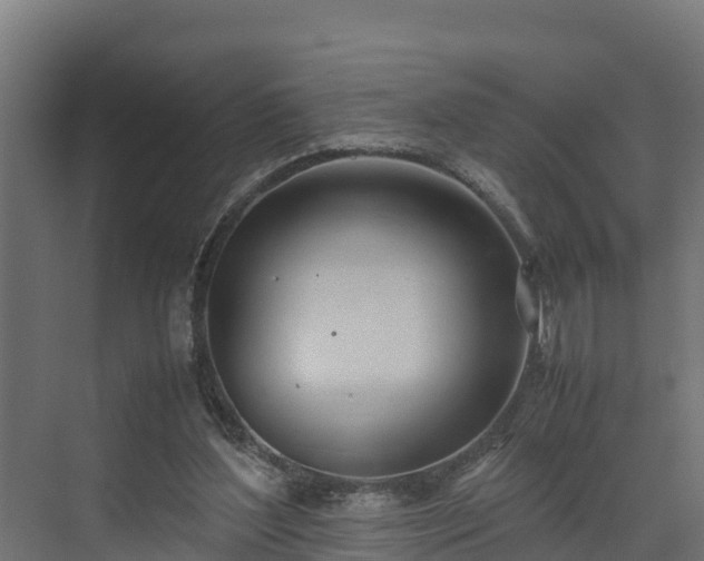 X0000072520204200607211432