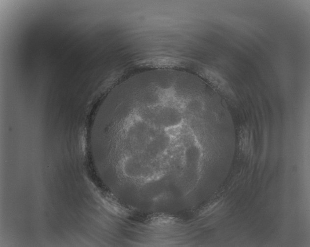 X0000072520206200607211432